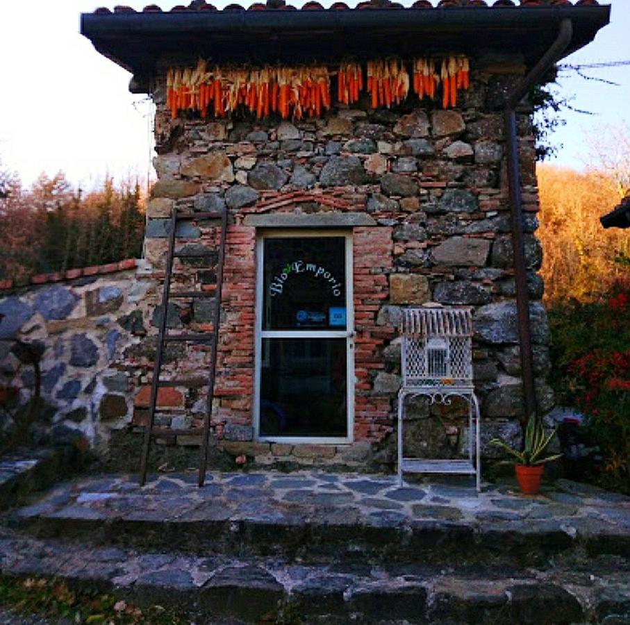 Agriturismo Paneolio Villa Collemandina Exterior foto