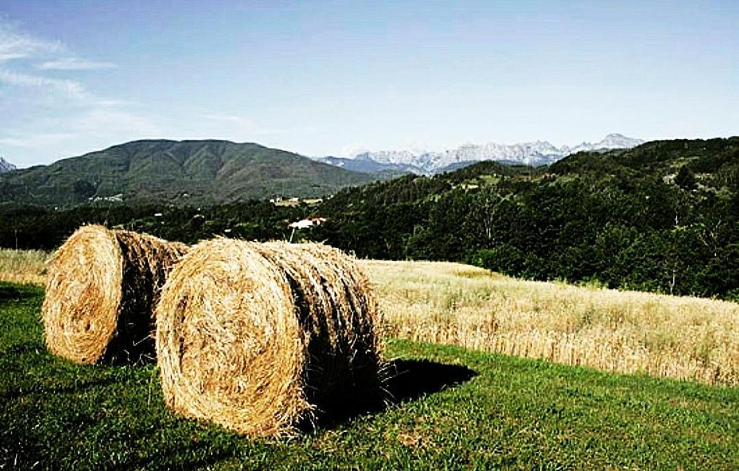 Agriturismo Paneolio Villa Collemandina Exterior foto
