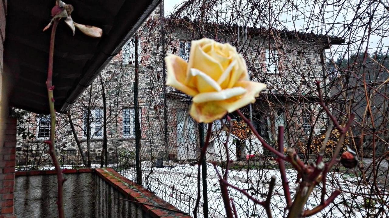 Agriturismo Paneolio Villa Collemandina Exterior foto