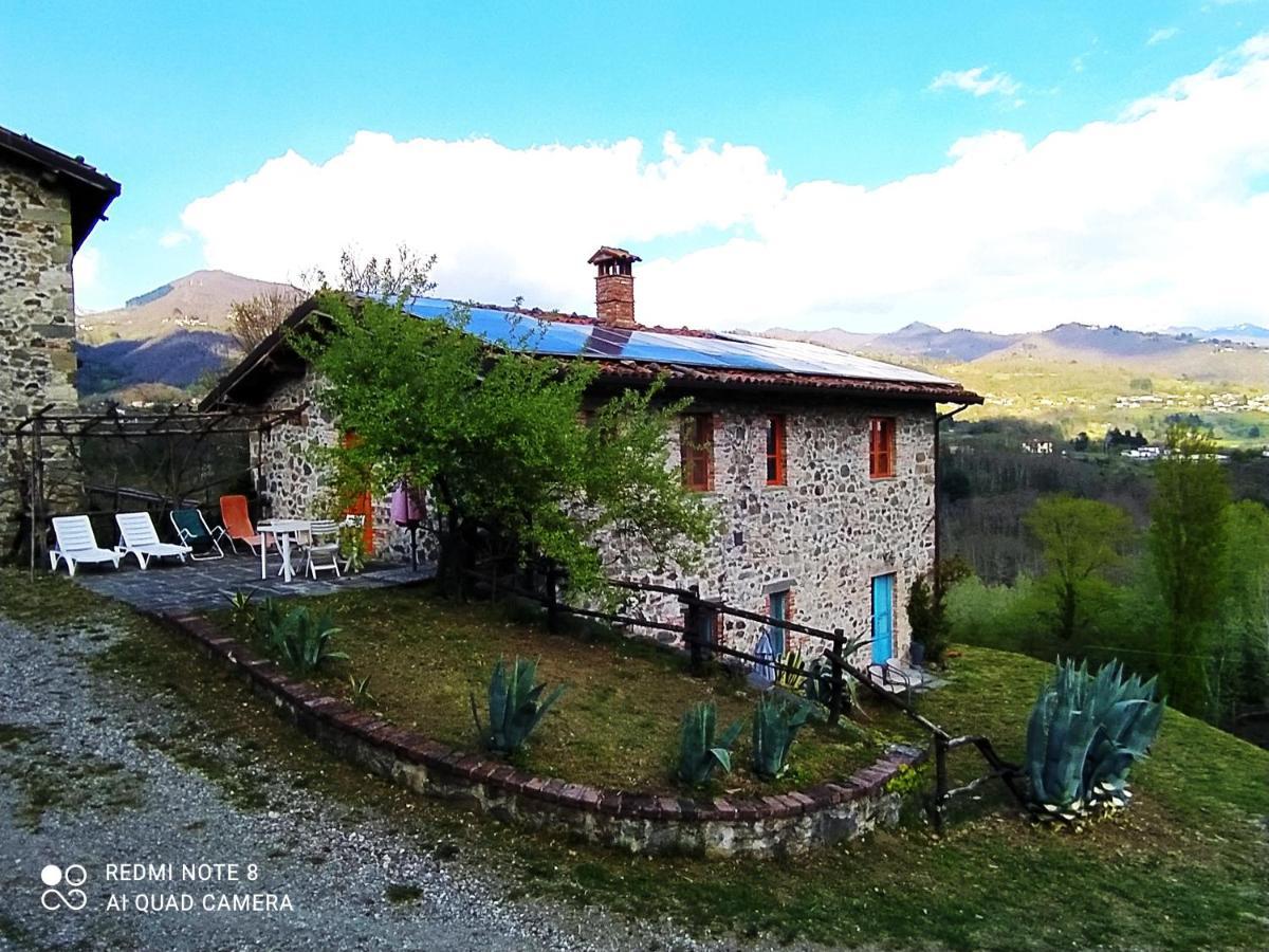 Agriturismo Paneolio Villa Collemandina Exterior foto